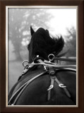 Buy Cantering at AllPosters.com