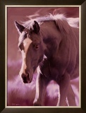 Buy Mi Amore at AllPosters.com
