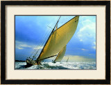 Buy Tuiga at AllPosters.com