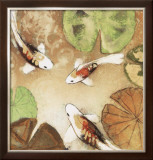 Koi Fest II