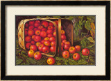 Buy Country Apples at AllPosters.com