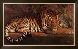Buy Tigre Royal at AllPosters.com