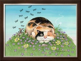 Cat-titude