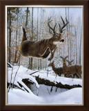 Leaping Deer