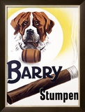 Barry Stumpen