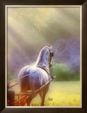 Buy Rays of Light at AllPosters.com