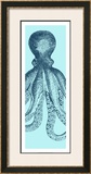 Octopus Triptych II