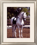 Buy Take a Bow at AllPosters.com