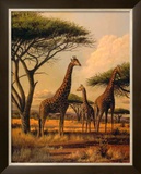 Buy Giraffe Family at AllPosters.com
