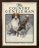 Herding Sheep, c.1916