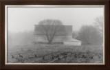 Buy Barns and Geese at AllPosters.com