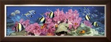 Buy Under the Sea at AllPosters.com