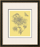 Nature's Optimism II