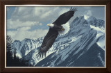Wings over Winter