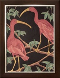 Buy Scarlet Ibis II at AllPosters.com