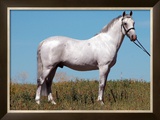 Buy Stand Proud at AllPosters.com