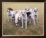 Seven V.W.H. Foxhounds