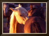 Buy Telling Secrets at AllPosters.com