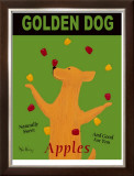 Buy Golden Dog at AllPosters.com