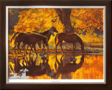 Buy Autumn'S Amber Glow at AllPosters.com