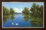 Buy River with Swans I at AllPosters.com