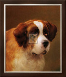 Head of a St. Bernard