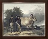 Buy Four Men With A Bull at AllPosters.com