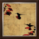 Colibri I