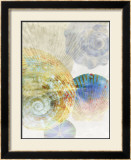 Shell Suite III