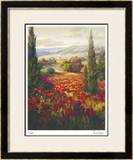 Fields of Italia II