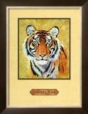Buy Tiger at AllPosters.com
