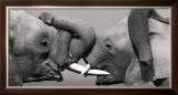 Buy African Elephant at AllPosters.com