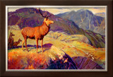 Buy Scotland for Holidays at AllPosters.com