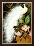 Buy White Peacocks at AllPosters.com