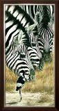 Buy Black and White at AllPosters.com