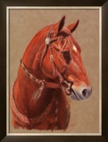 Buy Greencoat at AllPosters.com