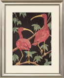 Buy Scarlet Ibis I at AllPosters.com