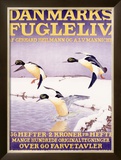 Buy Denmark Bird Society at AllPosters.com