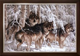 Buy Crystal Forest at AllPosters.com