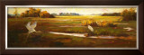 Buy Wings over the Marsh at AllPosters.com