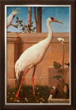 Buy Indian Crane, Cockatoo, Bullfinch and Thrush at AllPosters.com
