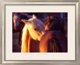 Buy Telling Secrets at AllPosters.com