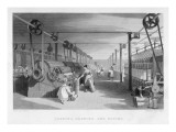 Cotton Carding Machinery