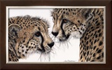 Buy Special Bond at AllPosters.com