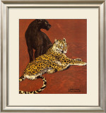 Jaguar and Black Panther