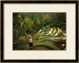 Buy Riziere, Bali at AllPosters.com