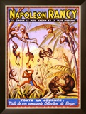 Buy Napoleon Rancy at AllPosters.com
