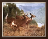 Running Deer