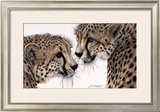 Buy Special Bond at AllPosters.com