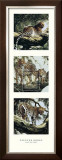 Buy Light and Shade I at AllPosters.com